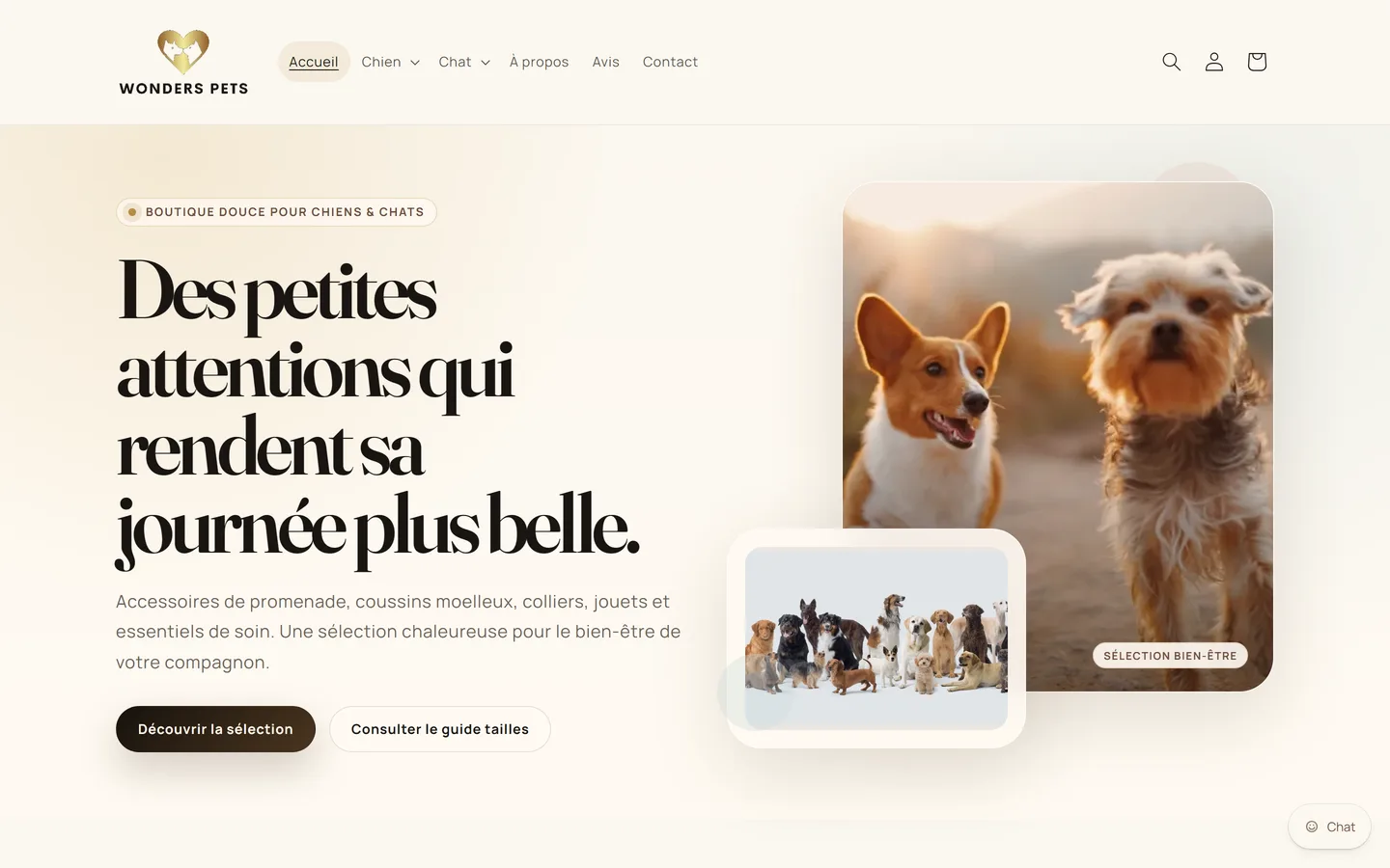 Aperçu du projet Wonders Pets