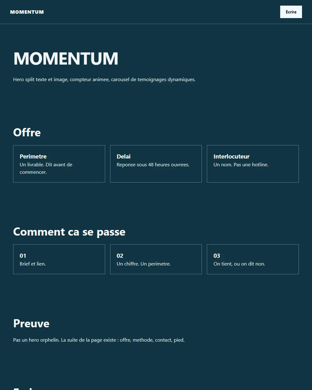 Capture complete du template MOMENTUM