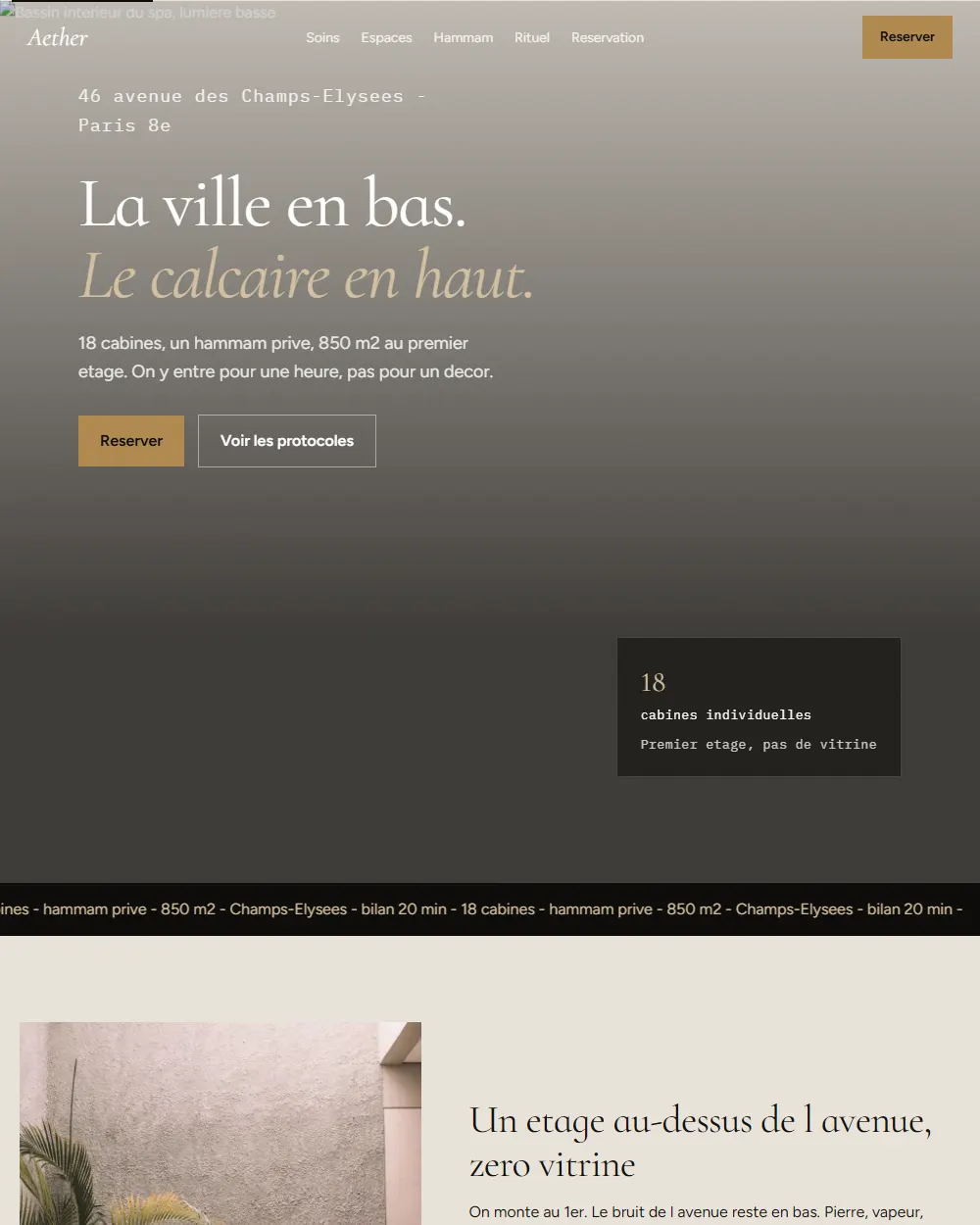 Capture complete du template Aether Spa