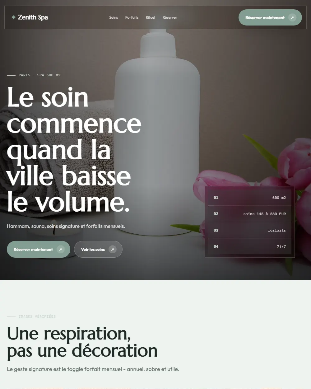Capture complete du template Zenith Spa
